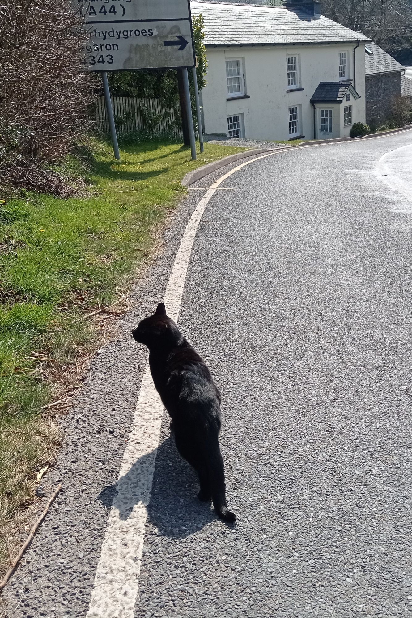 George walking along a road